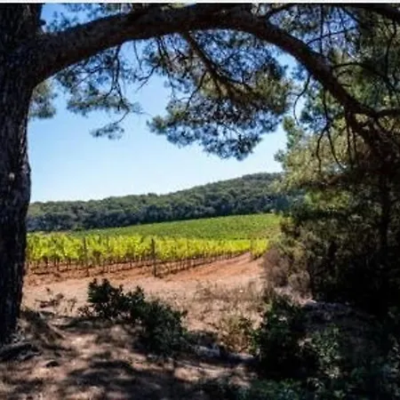 Climatise Avec Terrasse Et Parking Au Centre Du Lavandou - Fr-1-251-202 דירה לה לבאנדו