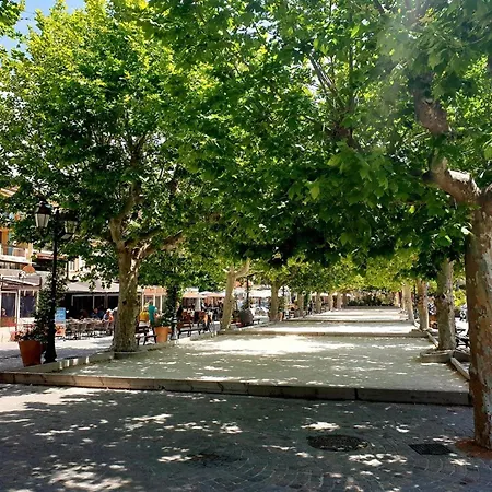 Climatise Avec Terrasse Et Parking Pres De La - Fr-1-251-202 Le Lavandou