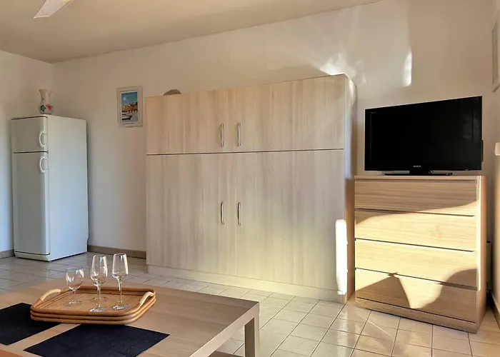 Climatise Avec Terrasse Et Parking Pres De La - Fr-1-251-202 Le Lavandou