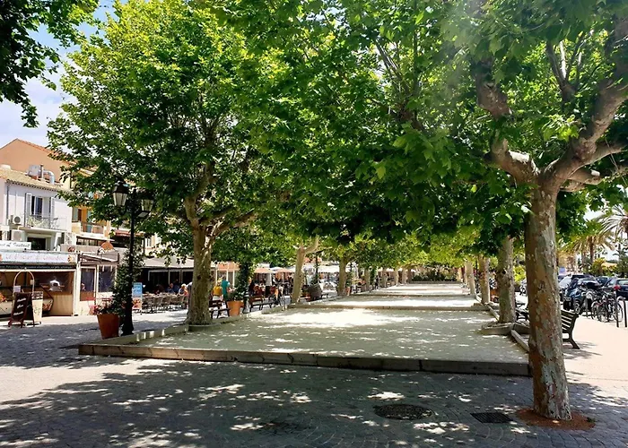 Climatise Avec Terrasse Et Parking Pres De La - Fr-1-251-202 Le Lavandou